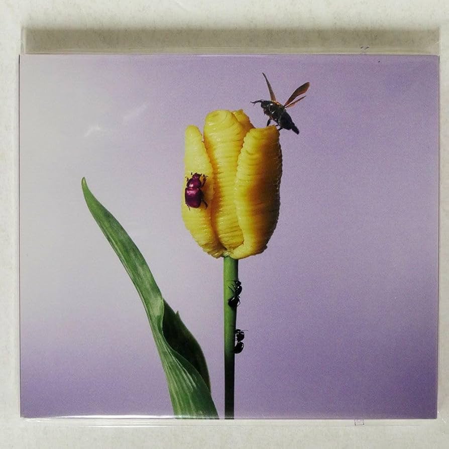 Amazon.co.jp: あいみょん/おいしいパスタがあると聞いて